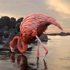 Tropical Bird Flamingo Pink Rigged for Cinema 4D 3D