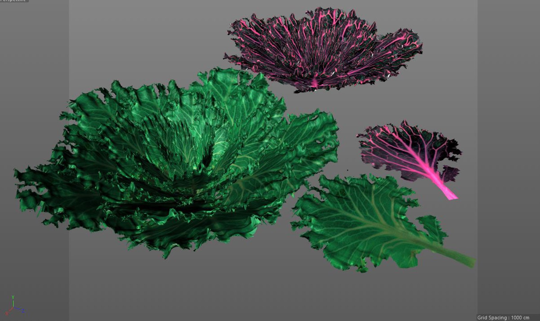3D model kale https://p.turbosquid.com/ts-thumb/UA/O7hbkN/Z0b1HDxD/10/jpg/1587310632/1920x1080/fit_q87/f9b90c3807c2399a48d8d0990c7cf5955bf05392/10.jpg