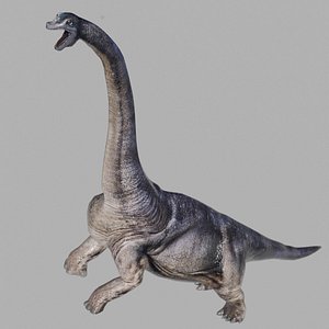 Brachiosaurus model