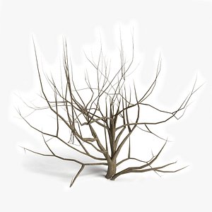 3d model dead bush