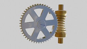 Worm Gear Set