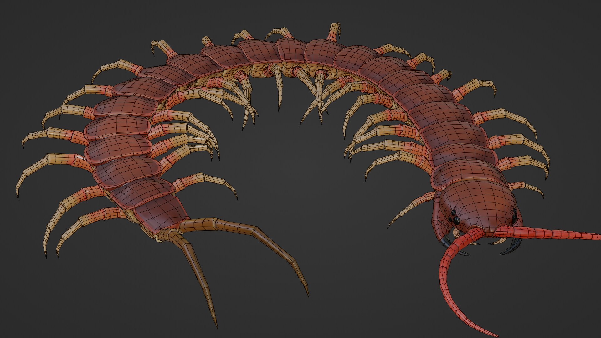 Centipede Rig For Blender And Maya 3D Model - TurboSquid 2228719