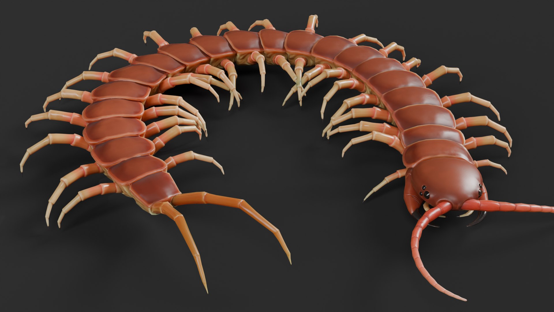 Centipede Rig For Blender And Maya 3D Model - TurboSquid 2228719