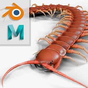 Centipede rig for Blender and Maya