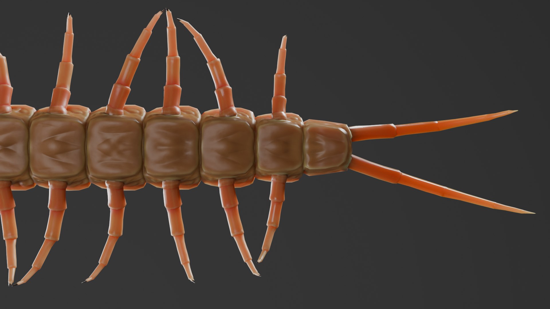Centipede Rig For Blender And Maya 3D Model - TurboSquid 2228719