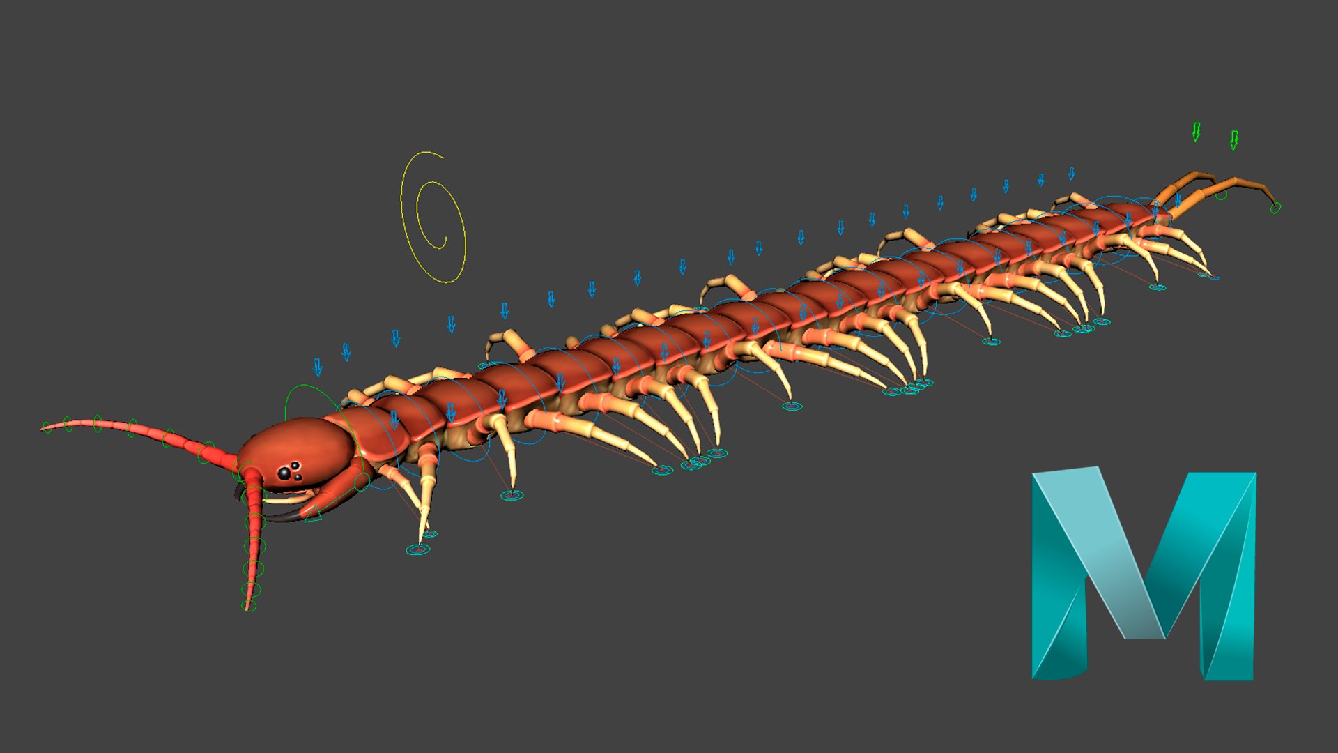 Centipede Rig For Blender And Maya 3D Model - TurboSquid 2228719