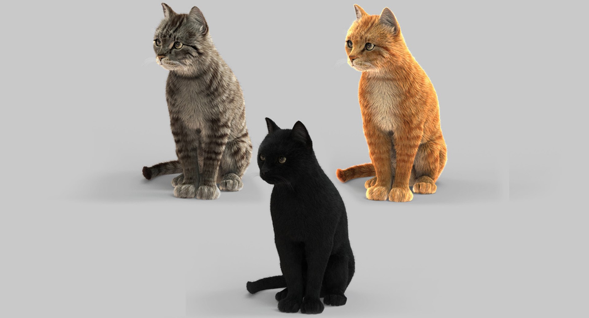 3d cats fur animation model - turbosquid 1328362