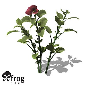 xfrogplants pansy plant 3d 3ds