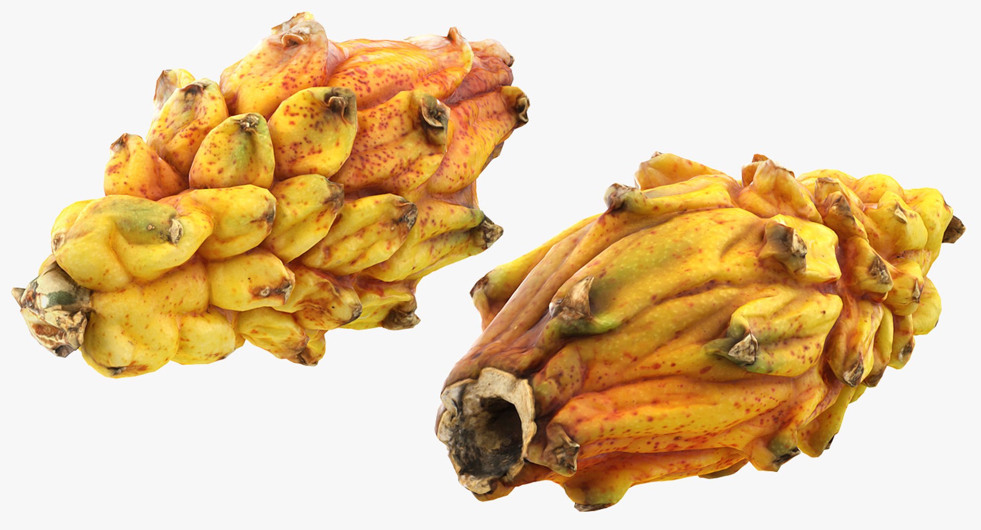 fruits 6 3D model https://p.turbosquid.com/ts-thumb/UA/o97fp2/3Gw2Yy6O/fruitscollection63dmodel095/jpg/1553744343/1920x1080/fit_q87/3fa116b201c8acff0c0d1179ec9f835addfe632b/fruitscollection63dmodel095.jpg