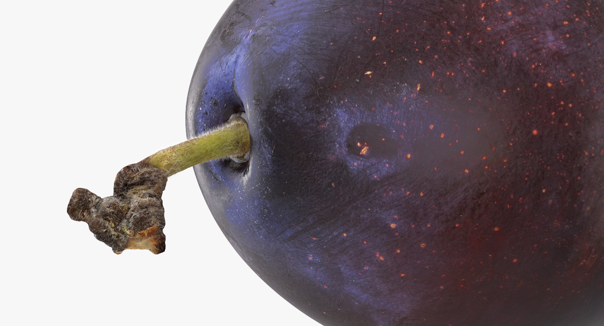 fruits 6 3D model https://p.turbosquid.com/ts-thumb/UA/o97fp2/8Pgjtdwm/fruitscollection63dmodel050/jpg/1553744334/1920x1080/fit_q87/567af4a7a9d73cf8ebe72e3ca6df404453acdef2/fruitscollection63dmodel050.jpg