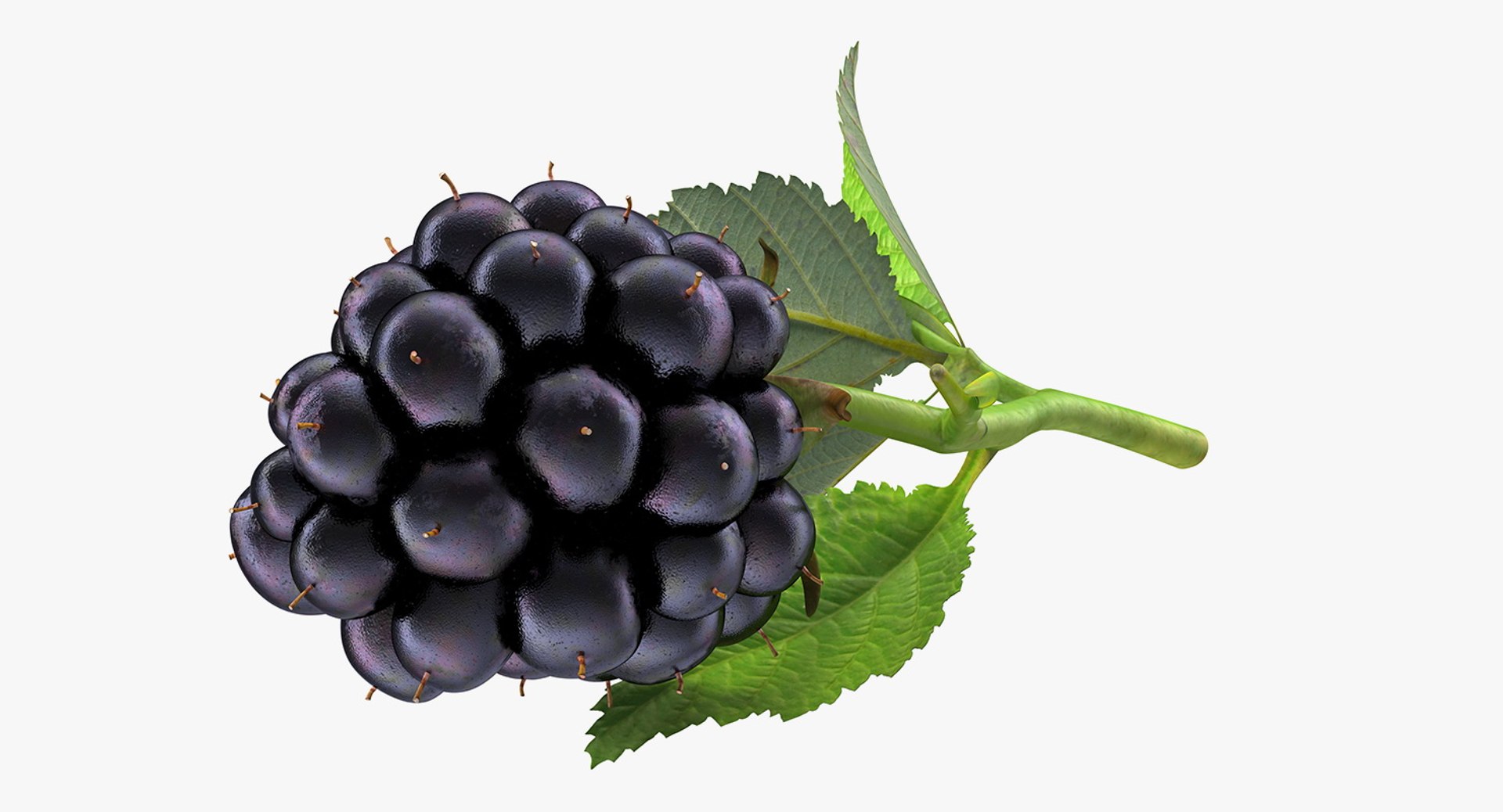 fruits 6 3D model https://p.turbosquid.com/ts-thumb/UA/o97fp2/BOjwY7xV/fruitscollection63dmodel005/jpg/1553744326/1920x1080/fit_q87/d3cf8e51bfcce0479a4bc88fc9d6f51175e80f0b/fruitscollection63dmodel005.jpg
