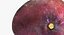 Collezione di frutta 6