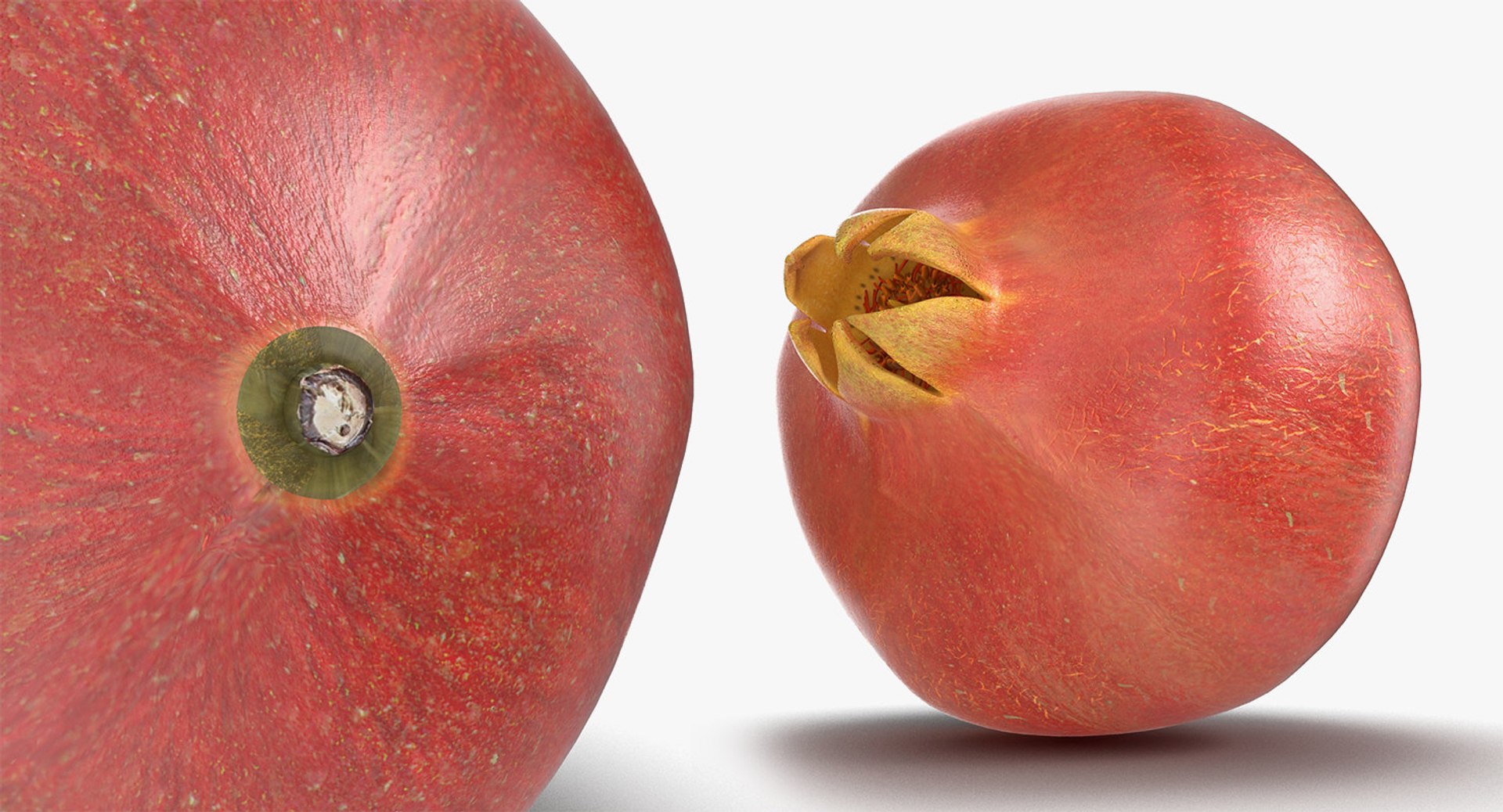 fruits 6 3D model https://p.turbosquid.com/ts-thumb/UA/o97fp2/FJronmIE/fruitscollection63dmodel131/jpg/1553744350/1920x1080/fit_q87/d190bcd796cdda9623fe4a920f0995c8564aed96/fruitscollection63dmodel131.jpg