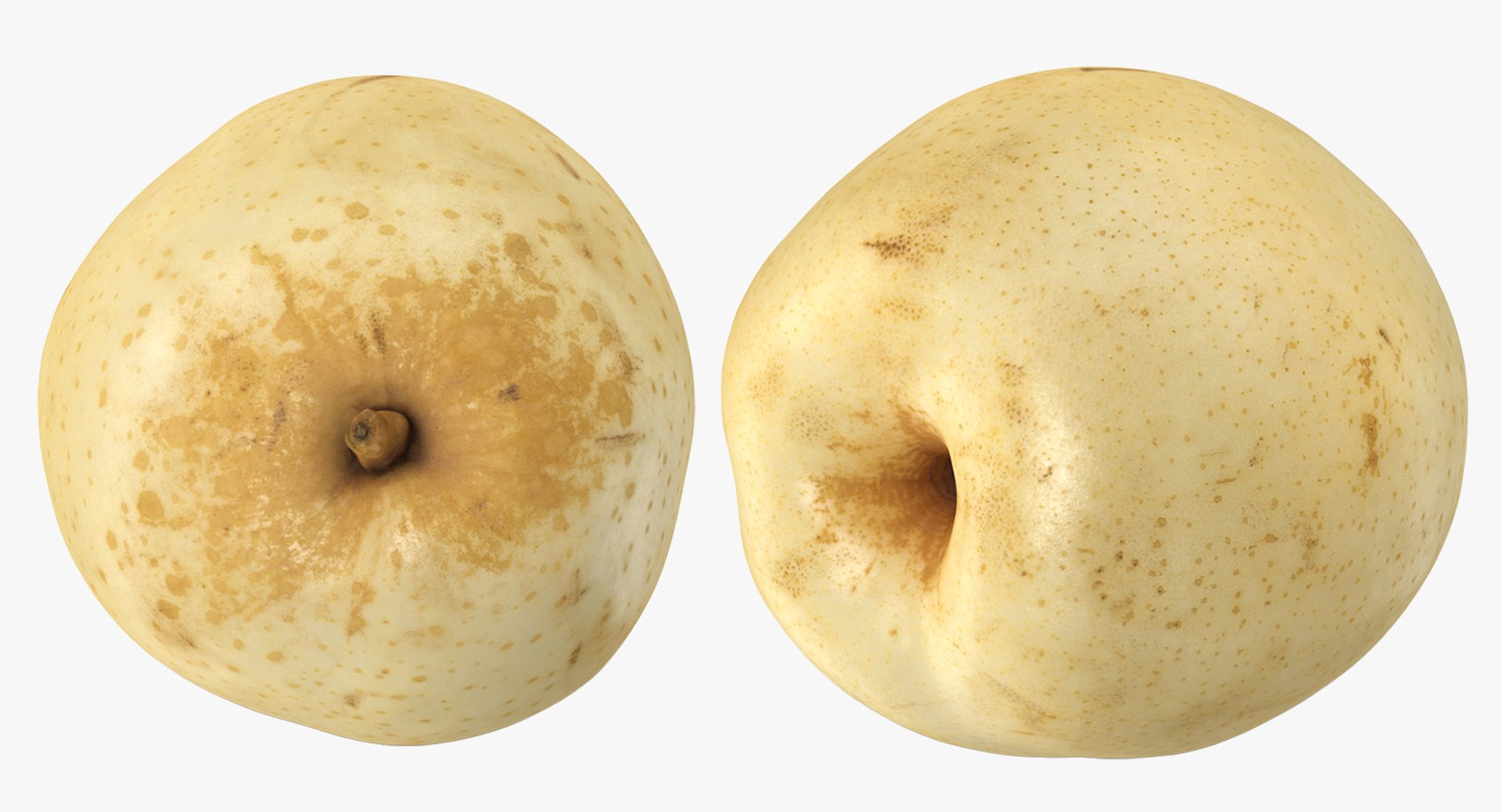 fruits 6 3D model https://p.turbosquid.com/ts-thumb/UA/o97fp2/HcKaWmfw/fruitscollection63dmodel106/jpg/1553744345/1920x1080/fit_q87/1e5e94500328af4f47275f0a2c1106309604c0d0/fruitscollection63dmodel106.jpg