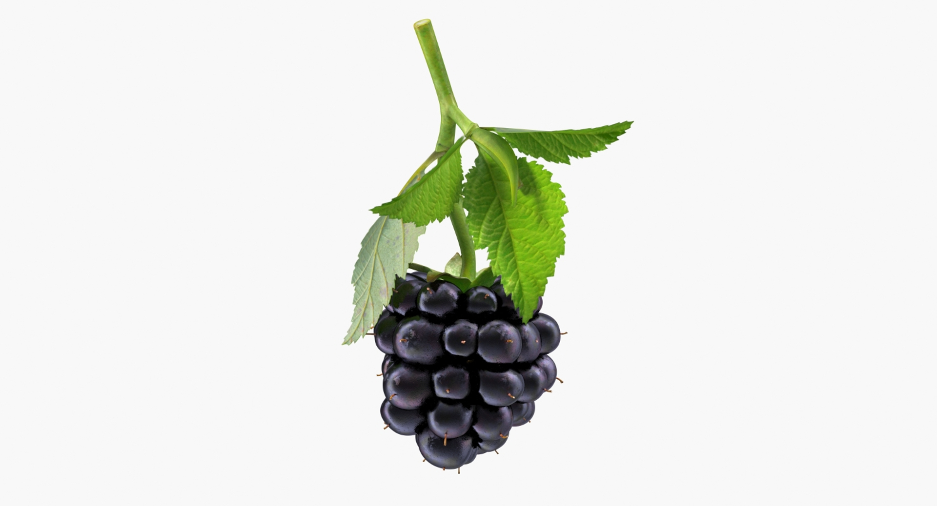 fruits 6 3D model https://p.turbosquid.com/ts-thumb/UA/o97fp2/L8fP5ddY/fruits_collection_6_360/jpg/1553741658/1920x1080/turn_fit_q99/7a6606fc52a410b024d6b31829a07640350a58e5/fruits_collection_6_360-1.jpg