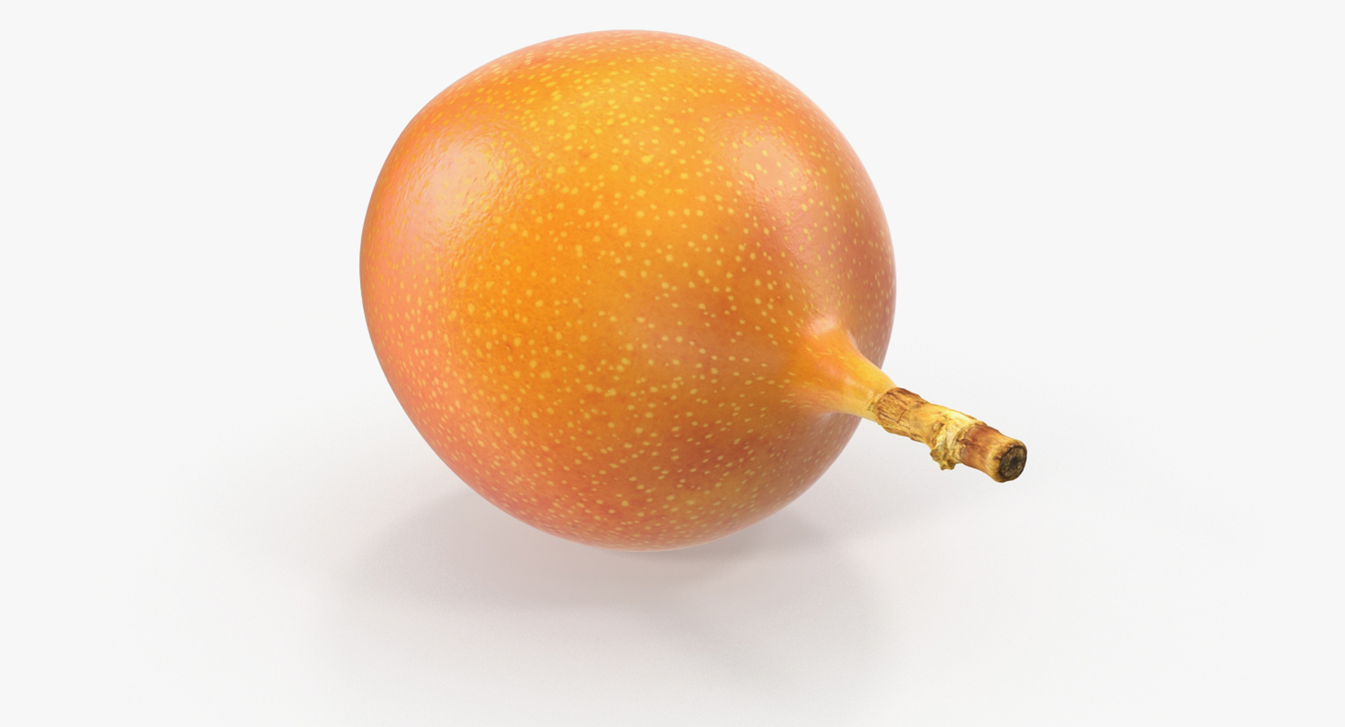 fruits 6 3D model https://p.turbosquid.com/ts-thumb/UA/o97fp2/PDberxtm/fruits_collection_6_370/jpg/1553741951/1920x1080/turn_fit_q99/1f68864813a76869e6d4e5c8c04625176bb4e561/fruits_collection_6_370-1.jpg