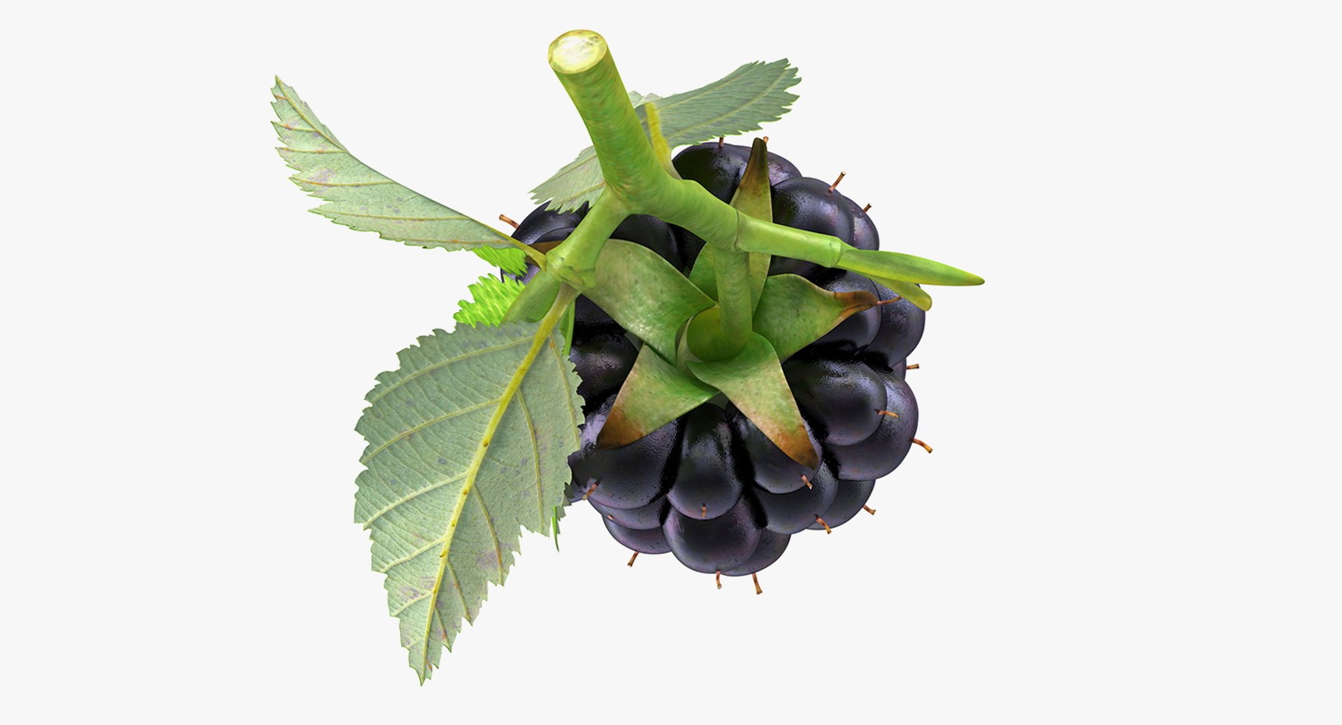 fruits 6 3D model https://p.turbosquid.com/ts-thumb/UA/o97fp2/PEIsOGvB/fruitscollection63dmodel007/jpg/1553744327/1920x1080/fit_q87/fd8e5ee4713ccdf531fef05cbe0c08fab04476a7/fruitscollection63dmodel007.jpg