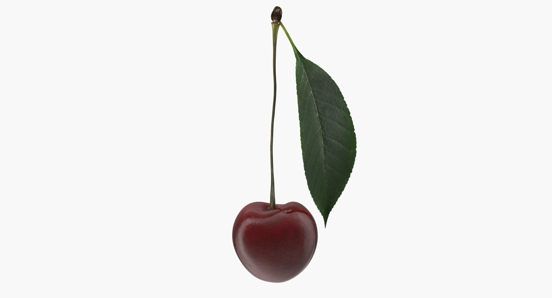 fruits 6 3D model https://p.turbosquid.com/ts-thumb/UA/o97fp2/gWL8dzBS/fruits_collection_6_384/jpg/1553742214/1920x1080/turn_fit_q99/58fc03e299009a7137a2ff28800ac621737a5572/fruits_collection_6_384-1.jpg