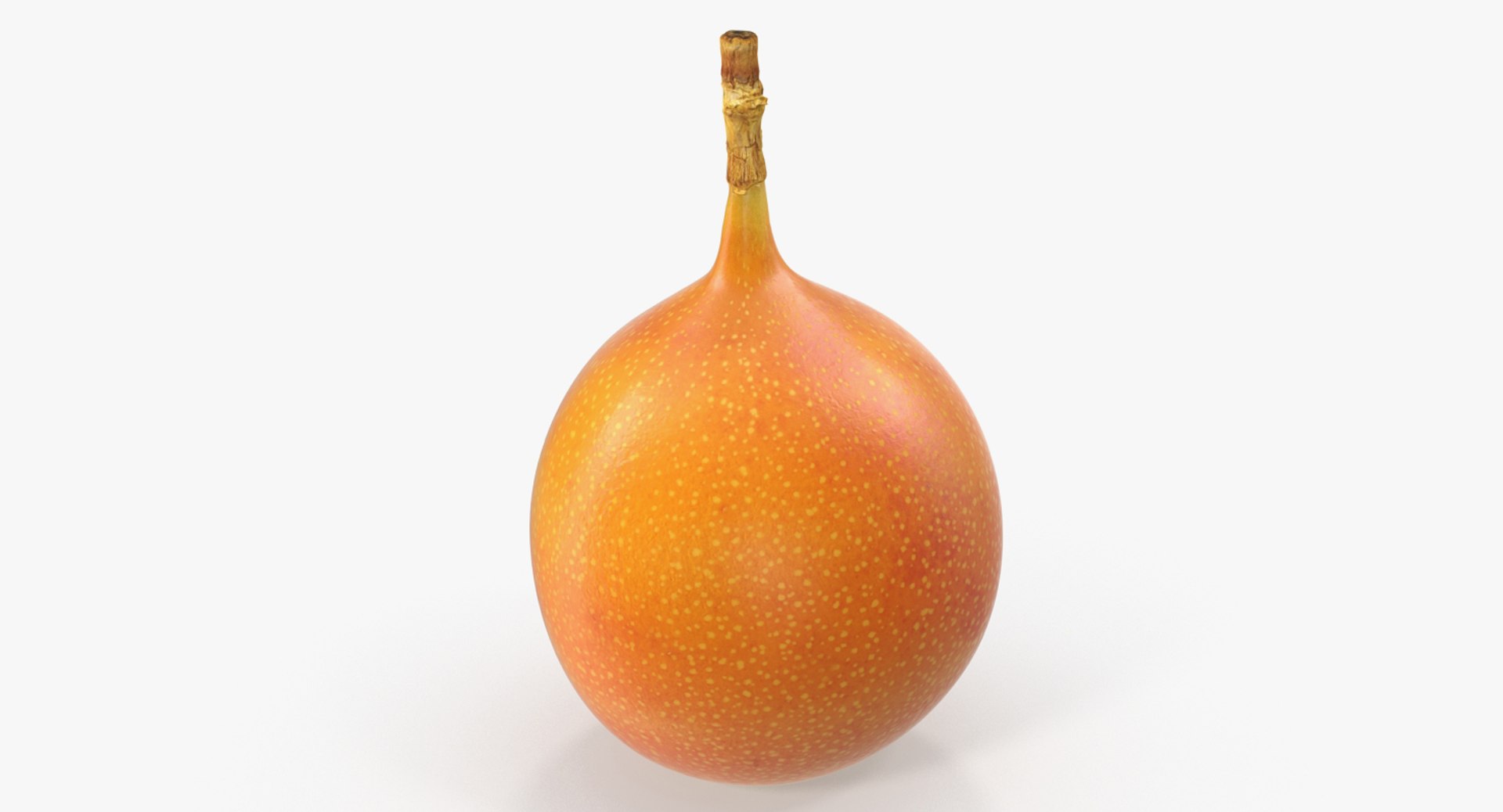 fruits 6 3D model https://p.turbosquid.com/ts-thumb/UA/o97fp2/p6OYcg70/fruitscollection63dmodel028/jpg/1553744330/1920x1080/fit_q87/997281e82c4a9d544f15e2f347837022db63daa6/fruitscollection63dmodel028.jpg