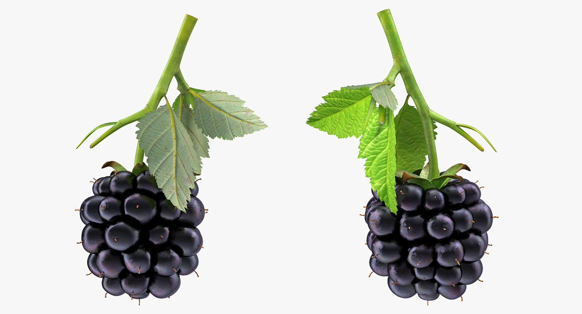 fruits 6 3D model https://p.turbosquid.com/ts-thumb/UA/o97fp2/tzMfX86S/fruitscollection63dmodel006/jpg/1553744326/1920x1080/fit_q87/85703e47a310d415021766e7b3a889b8cc201941/fruitscollection63dmodel006.jpg