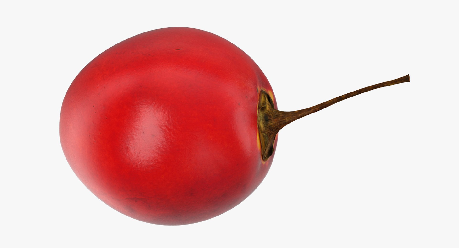 fruits 6 3D model https://p.turbosquid.com/ts-thumb/UA/o97fp2/vqLTWUWv/fruitscollection63dmodel021/jpg/1553744329/1920x1080/fit_q87/ad914e3d39112e50356d019089c7a21651b8ca0b/fruitscollection63dmodel021.jpg