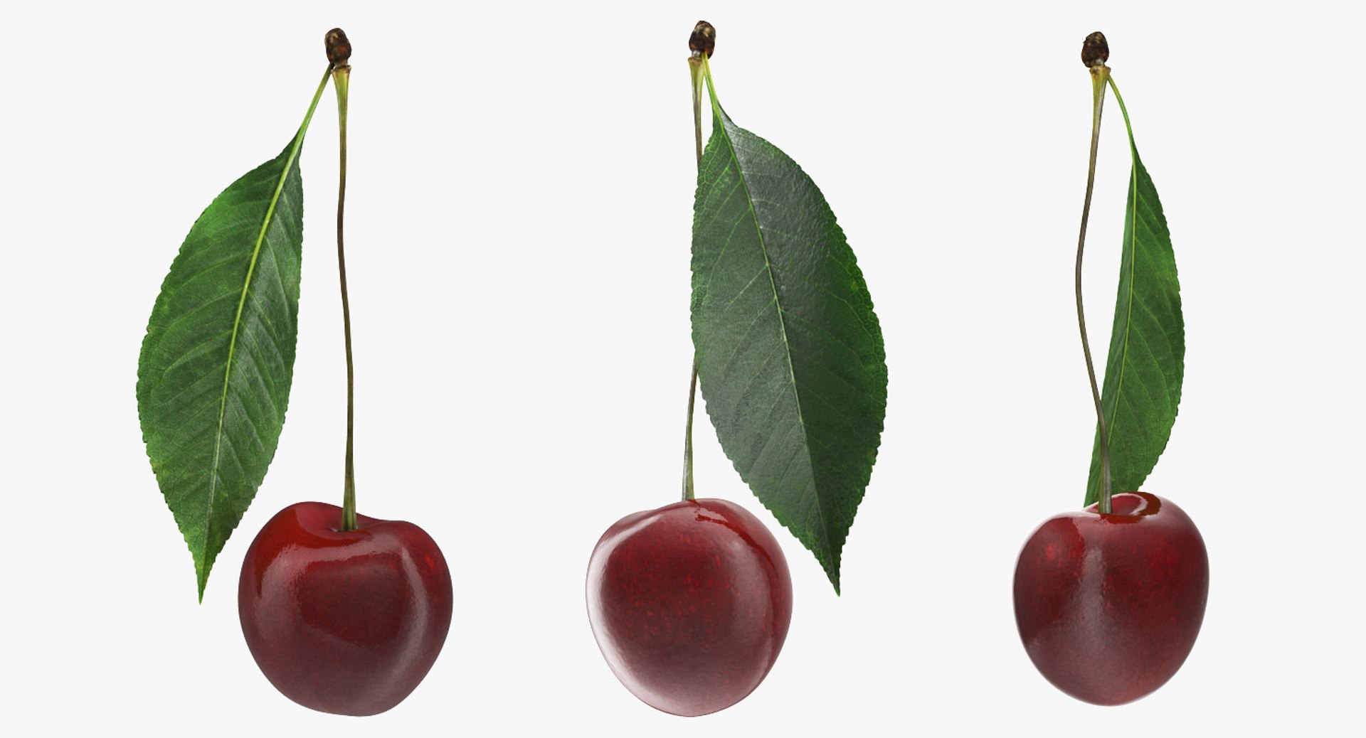 fruits 6 3D model https://p.turbosquid.com/ts-thumb/UA/o97fp2/ySwfP2tN/fruitscollection63dmodel061/jpg/1553744336/1920x1080/fit_q87/4c4e0862492130d5d303f5182316d9435a38896a/fruitscollection63dmodel061.jpg