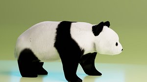 Realistic 3D Panda Bear with Fur high and low poly