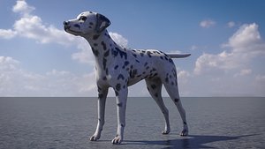 Dalmatian