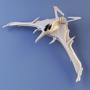 Raven Fighter