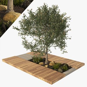 garden wood deck with olive tree and planter 3D model