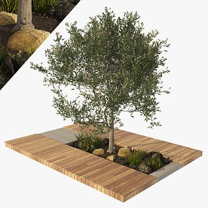 garden wood deck with olive tree and planter