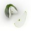 Pear Notepad