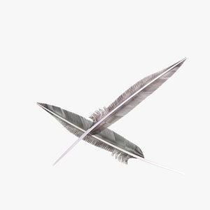 3D model Goose Wing Feather