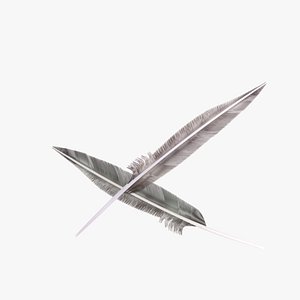 Goose Wing Feather