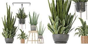 Collection plant vol 352 - blender model 3D model