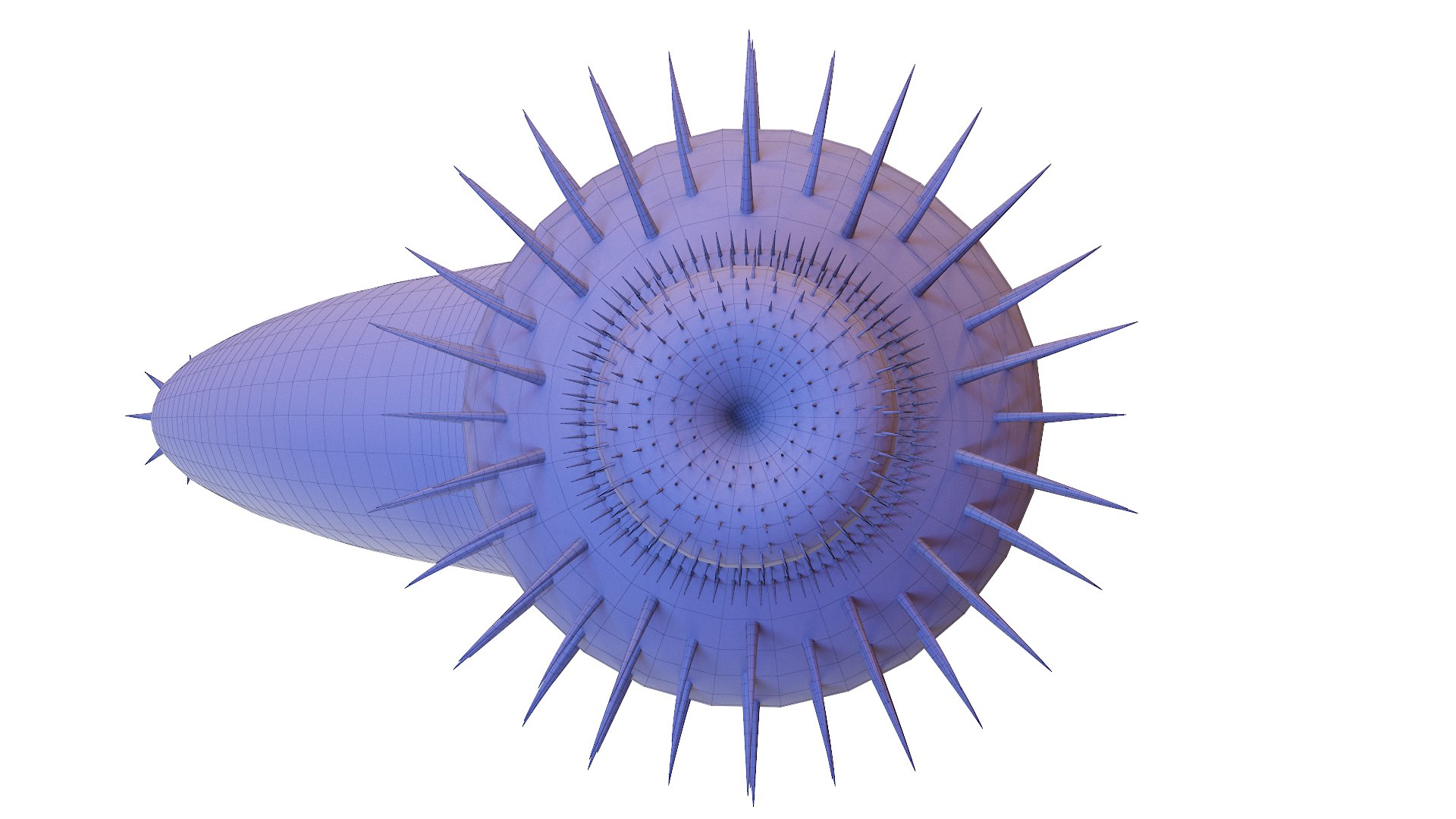 Ottoia Static 3D model https://p.turbosquid.com/ts-thumb/UB/XAshOk/Ac/ottoia_wire0001/jpg/1630156586/1920x1080/fit_q87/bda5093b87b594fcf53a43176fff26f485df3518/ottoia_wire0001.jpg