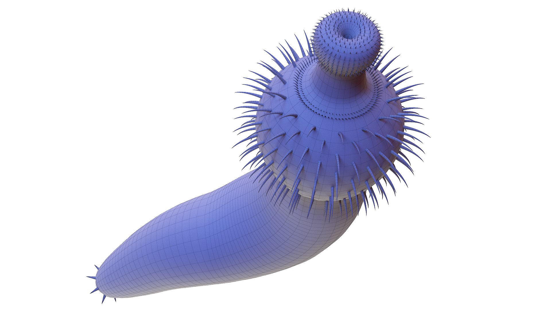 Ottoia Static 3D Model TurboSquid 1780153