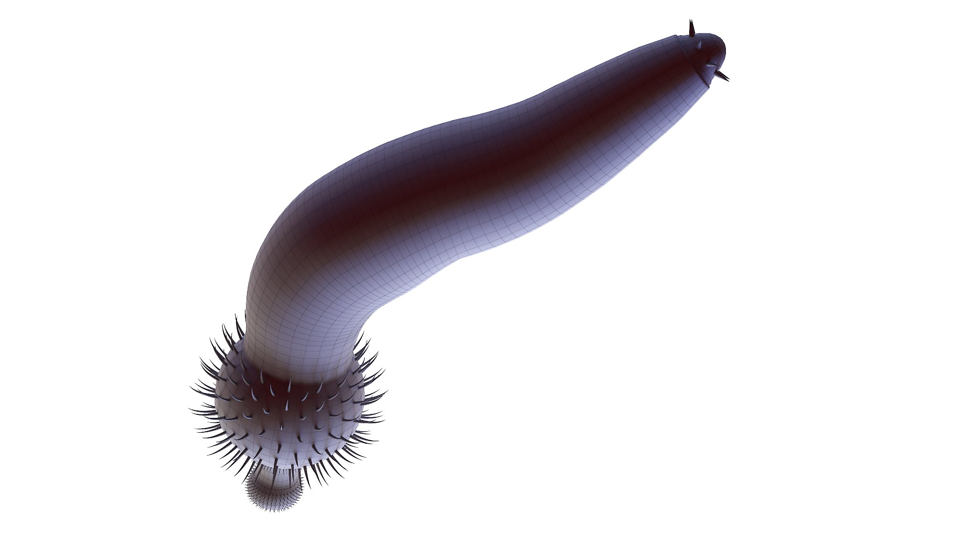 Ottoia Static 3D model https://p.turbosquid.com/ts-thumb/UB/XAshOk/yl/ottoia_wire0005/jpg/1630156587/1920x1080/fit_q87/5d74835e952b3592020e57c245484f7a9dffd760/ottoia_wire0005.jpg