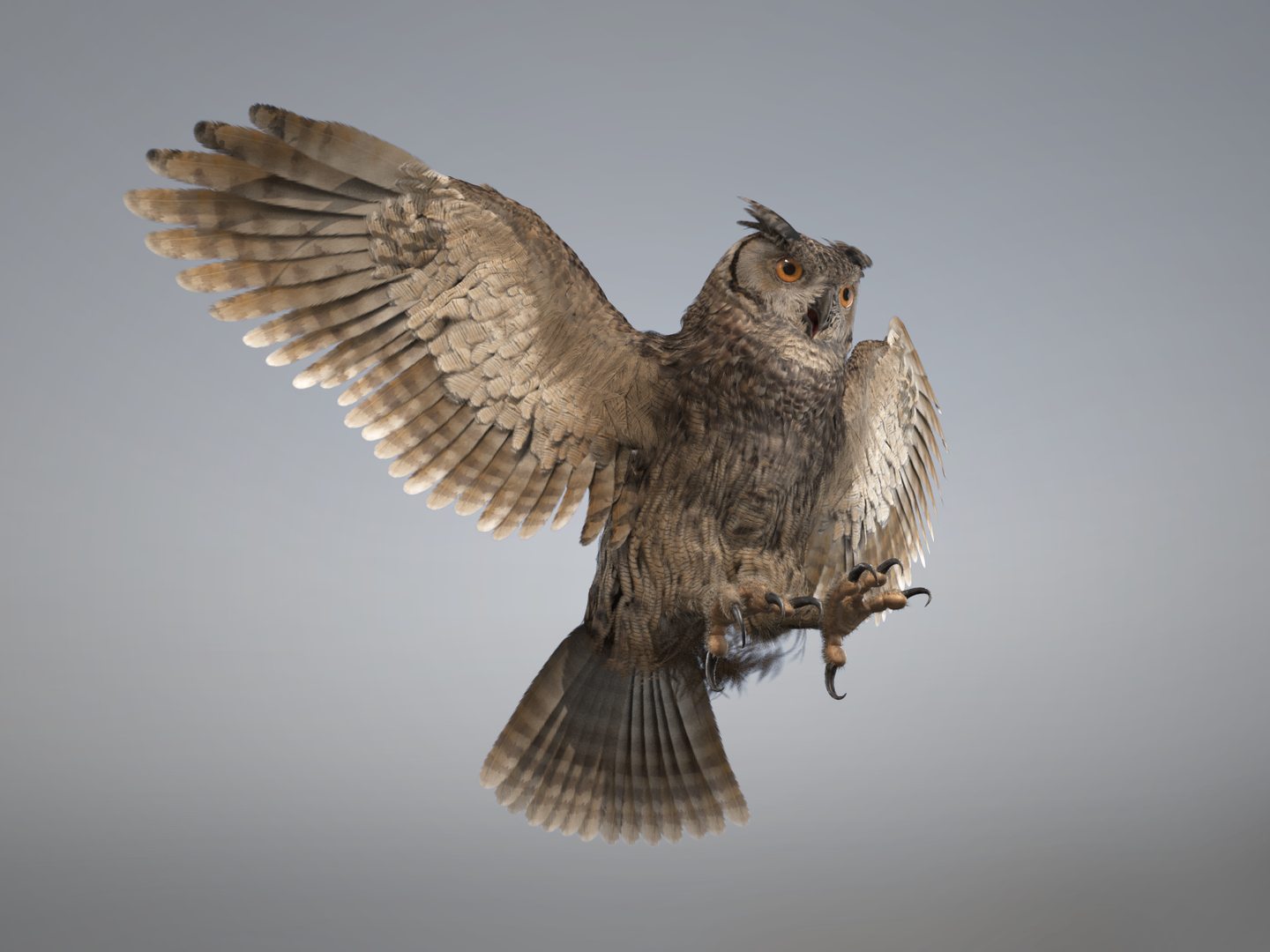 3D owl rigged - TurboSquid 1287937