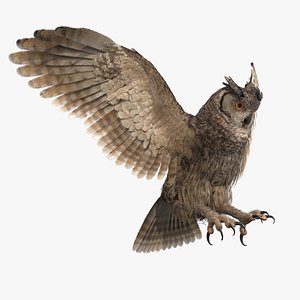 Owl Rigged