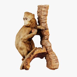 3D Babboon Papio Remastered