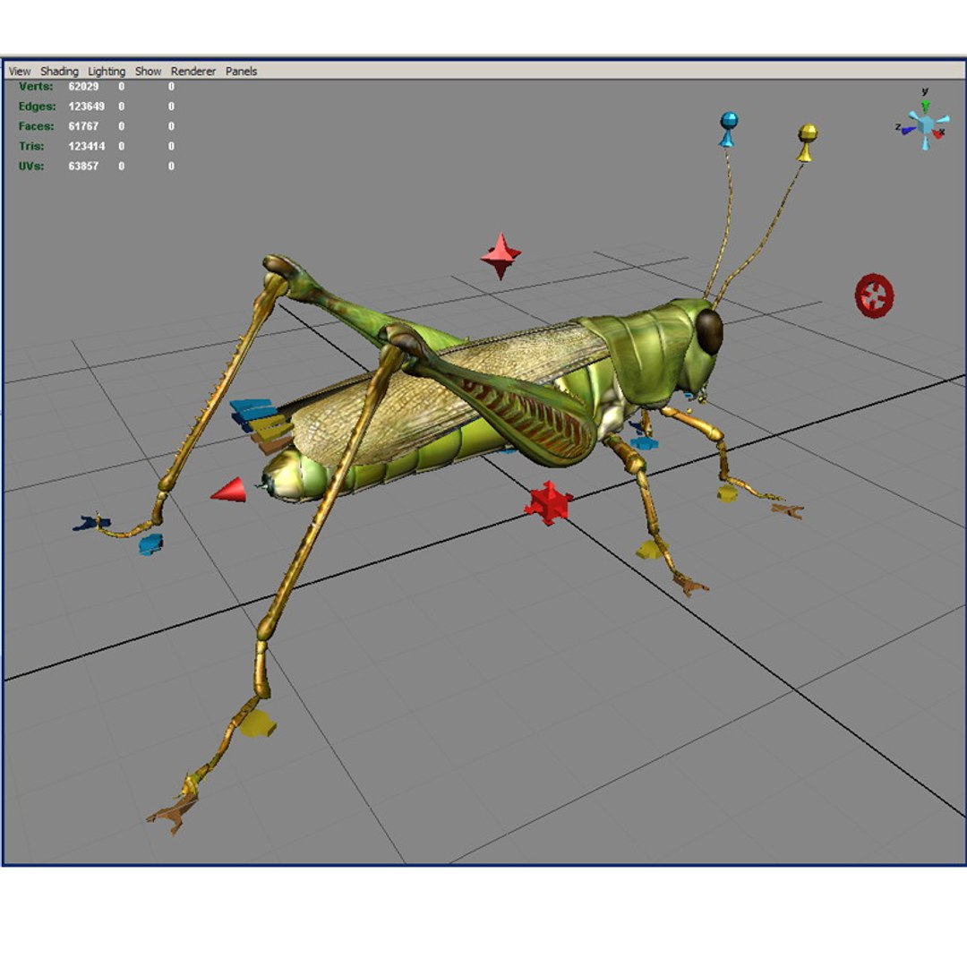 Grasshopper Rigged 3d Model