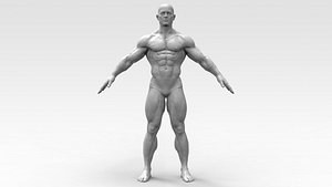 3D Bodybuilder