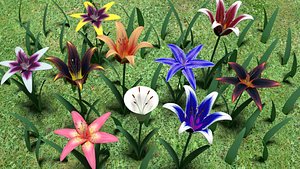 Flower pack model