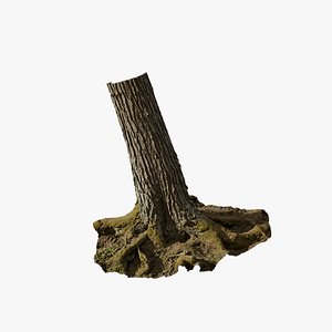 Anydrafts Abies Trunk 13 3D model