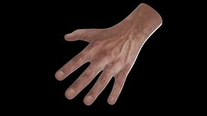 man hand 3D model