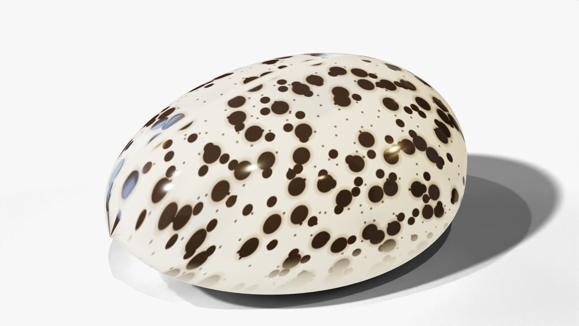 3D Reef and Shore Pack - Corals Seashells Sea Urchins PBR model https://p.turbosquid.com/ts-thumb/UC/9NaFwp/0L/tigercowrie_turntable/jpg/1791641381/1920x1080/turn_fit_q99/4ec93c6094b8804ea7c598f7a23918c6fdf5ddfb/tigercowrie_turntable-1.jpg