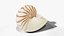 Reef and Shore Pack - Corals Seashells Sea Urchins PBR