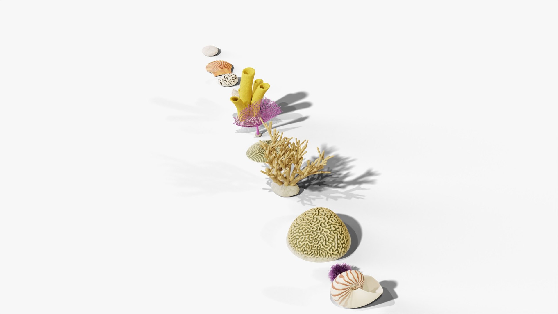 3D Reef and Shore Pack - Corals Seashells Sea Urchins PBR model https://p.turbosquid.com/ts-thumb/UC/9NaFwp/2k/02_reefandshore_02_group_high/jpg/1791641033/1920x1080/fit_q87/d82453d7c2ca237637266a0e1eccc26ba621bc48/02_reefandshore_02_group_high.jpg