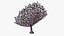 Reef and Shore Pack - Corals Seashells Sea Urchins PBR